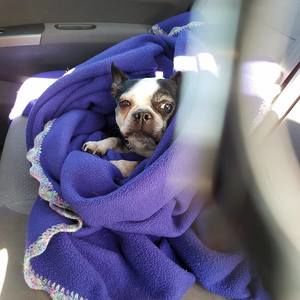 Meet your Posher, Beth